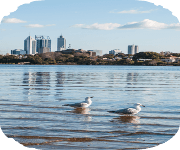 Things To Do In Perth