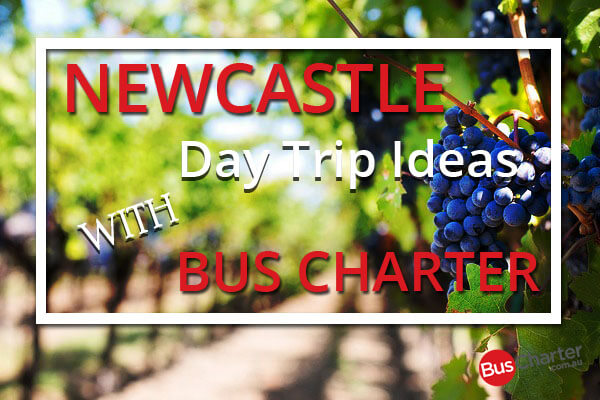 Newcastle Day Trip Ideas With Bus Charter