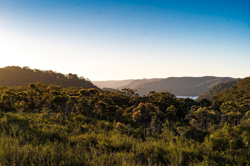 Sydney’s Natural Wonders: The Ultimate Days Out for Nature Lovers