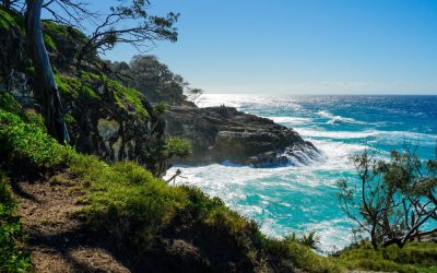 Best Days Out for Nature Lovers in Brisbane